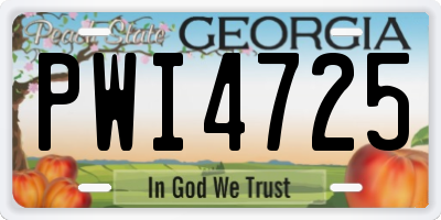 GA license plate PWI4725