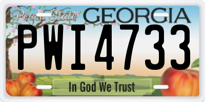GA license plate PWI4733