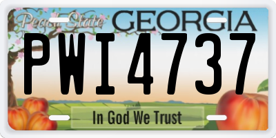 GA license plate PWI4737