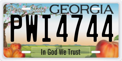 GA license plate PWI4744
