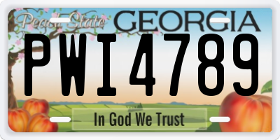 GA license plate PWI4789