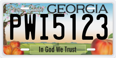 GA license plate PWI5123