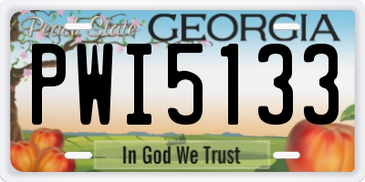 GA license plate PWI5133
