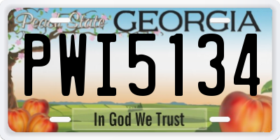GA license plate PWI5134