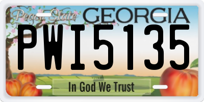 GA license plate PWI5135