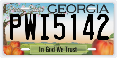 GA license plate PWI5142