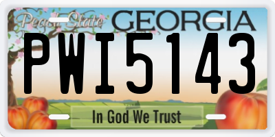 GA license plate PWI5143