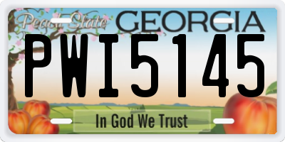 GA license plate PWI5145