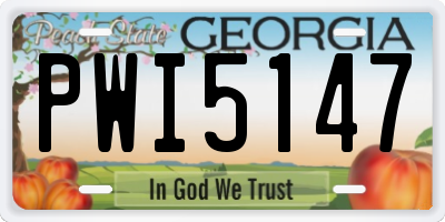 GA license plate PWI5147