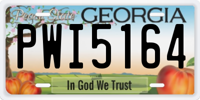 GA license plate PWI5164