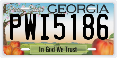GA license plate PWI5186