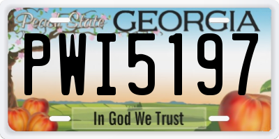 GA license plate PWI5197