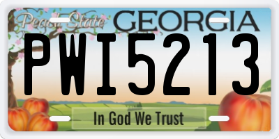 GA license plate PWI5213