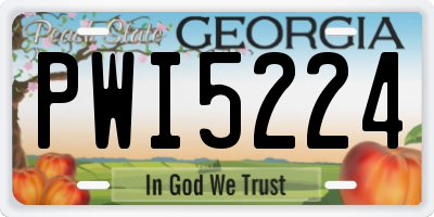 GA license plate PWI5224