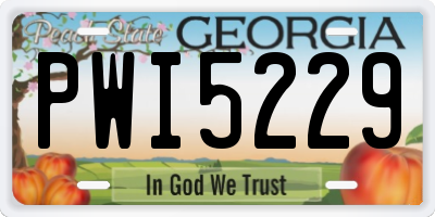 GA license plate PWI5229