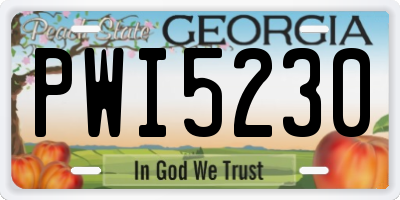 GA license plate PWI5230