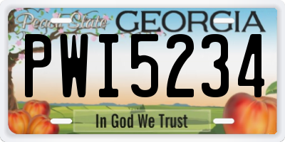 GA license plate PWI5234