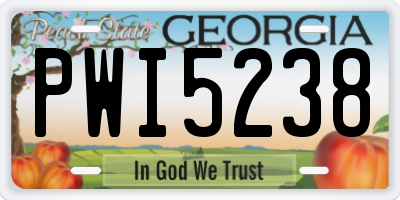GA license plate PWI5238