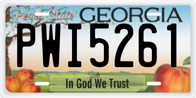 GA license plate PWI5261