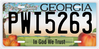 GA license plate PWI5263