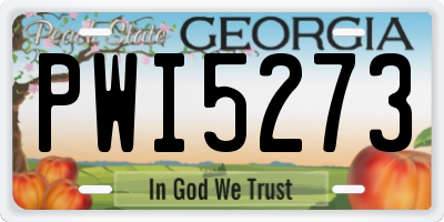 GA license plate PWI5273