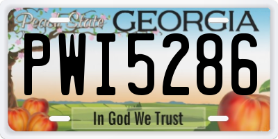 GA license plate PWI5286