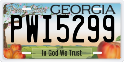 GA license plate PWI5299