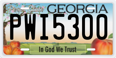 GA license plate PWI5300