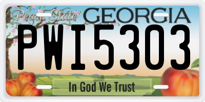 GA license plate PWI5303