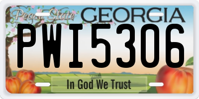 GA license plate PWI5306