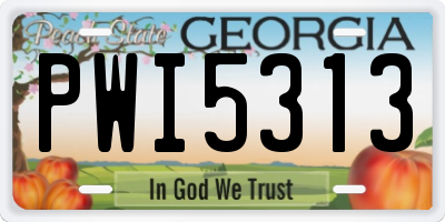 GA license plate PWI5313