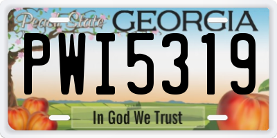 GA license plate PWI5319