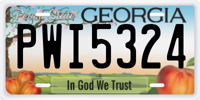 GA license plate PWI5324