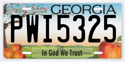 GA license plate PWI5325