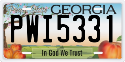 GA license plate PWI5331