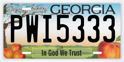 GA license plate PWI5333