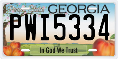 GA license plate PWI5334