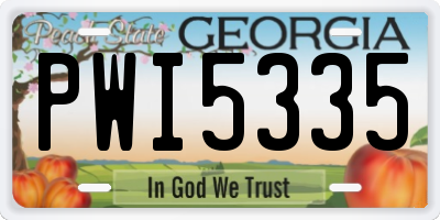 GA license plate PWI5335