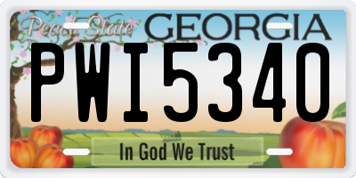 GA license plate PWI5340