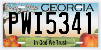 GA license plate PWI5341