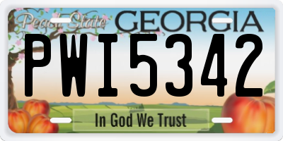 GA license plate PWI5342