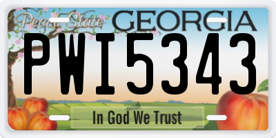 GA license plate PWI5343