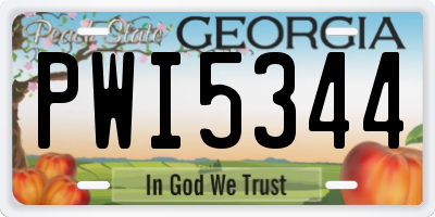 GA license plate PWI5344