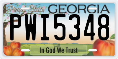 GA license plate PWI5348