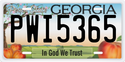 GA license plate PWI5365