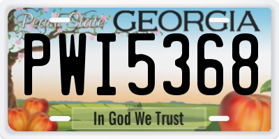GA license plate PWI5368