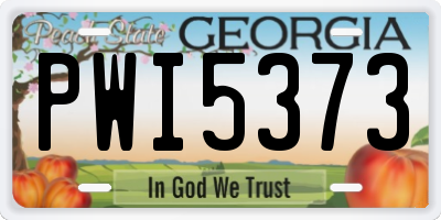 GA license plate PWI5373