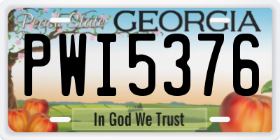 GA license plate PWI5376