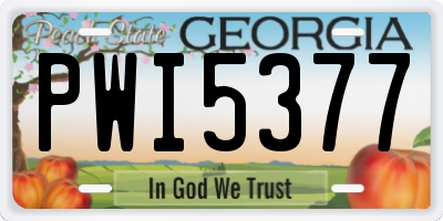 GA license plate PWI5377