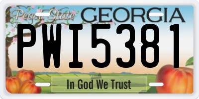 GA license plate PWI5381